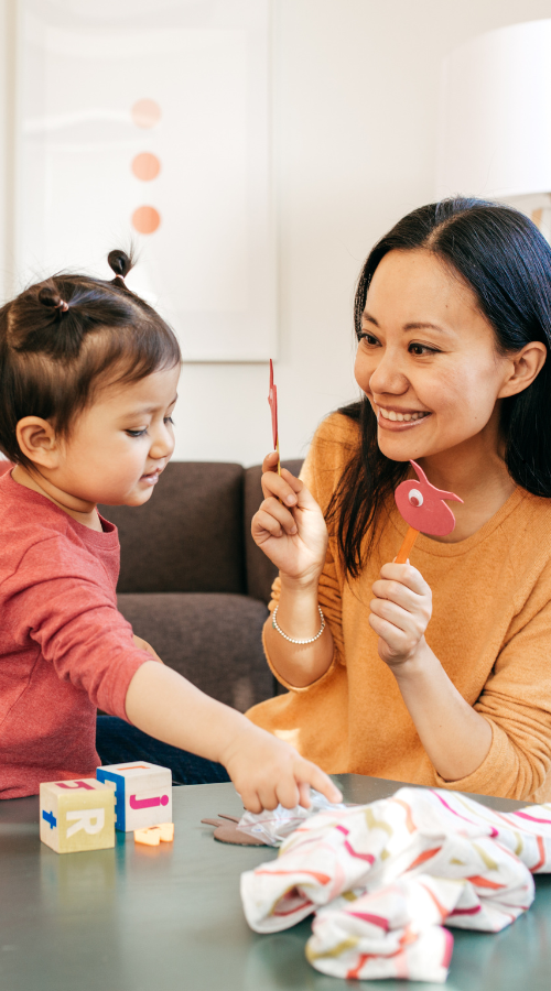 Infant and Early Childhood Mental Health Care